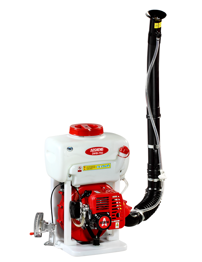 3WF-DCCL caligo PENICULUS