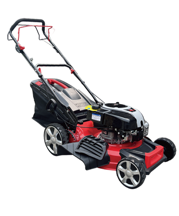 AS20TQB161SA, C IV-Stroke Gasoline Lawn