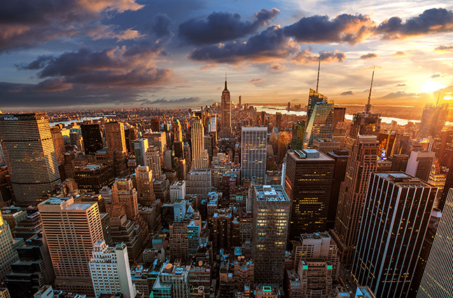 Gramineae Memoria salus operatio ordinationes