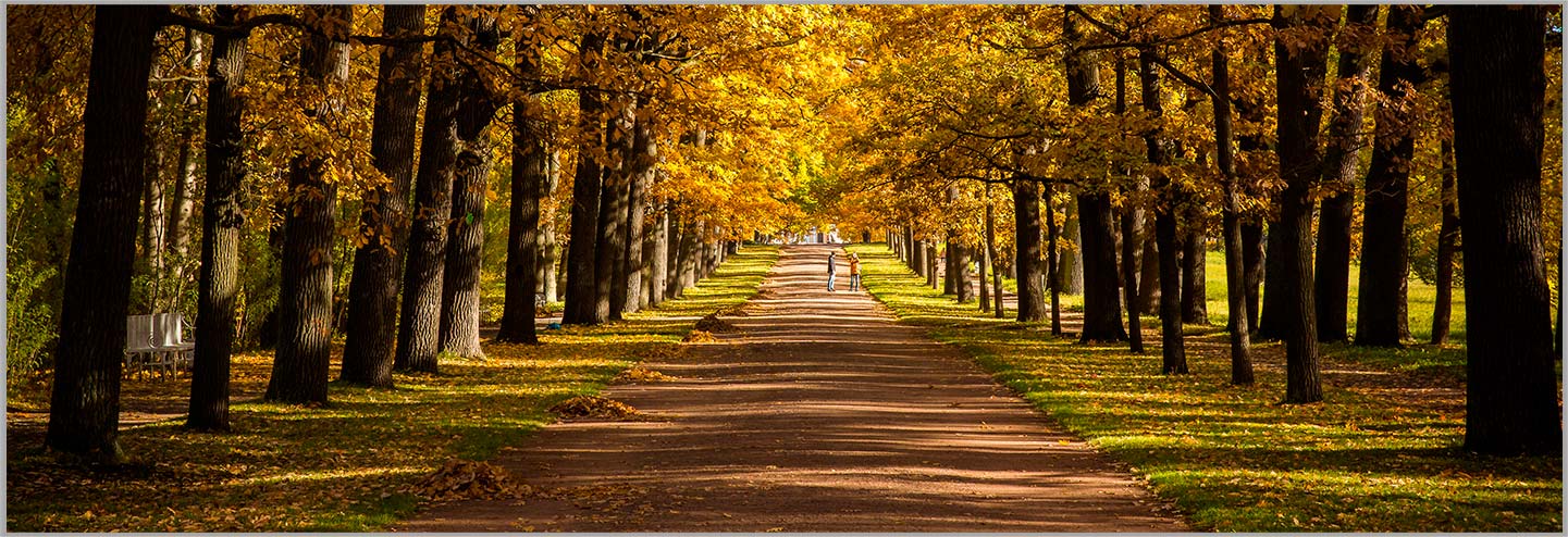 Ningbo Aosheng Apparatus Co., Ltd.